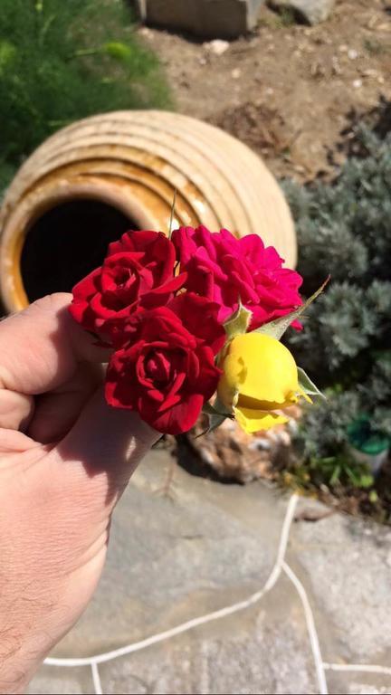 Rose Home Аполлонія Екстер'єр фото
